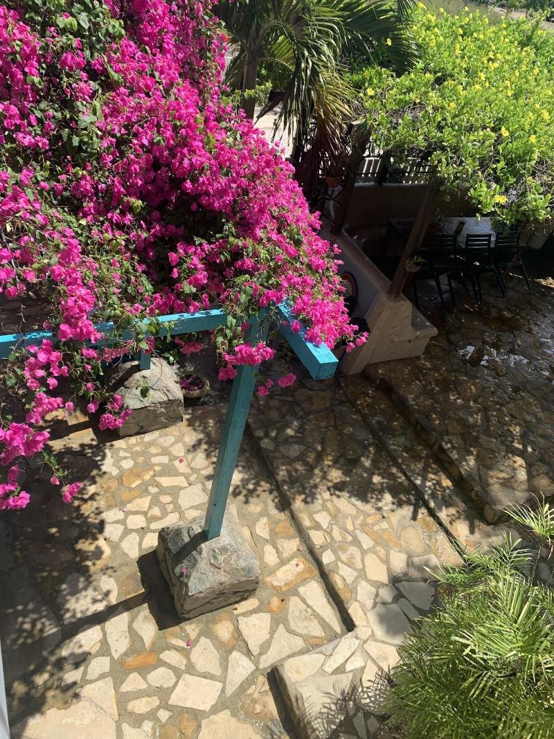 All Seasons Guest House image