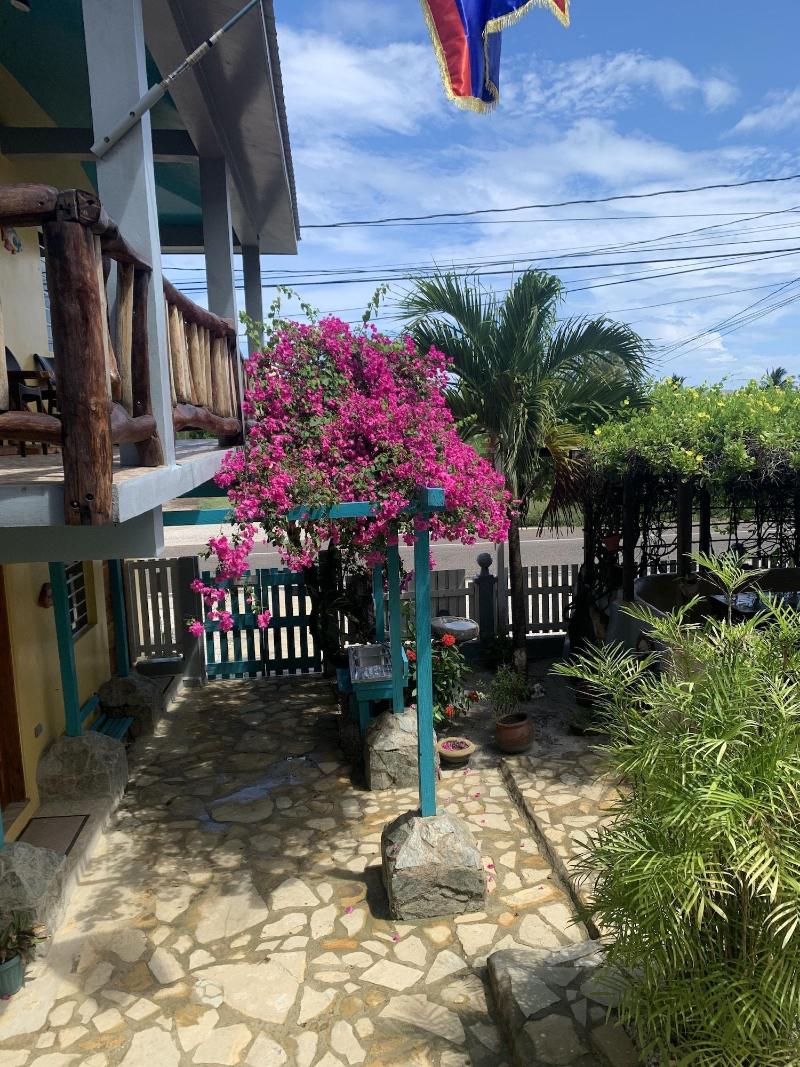 All Seasons Guest House image