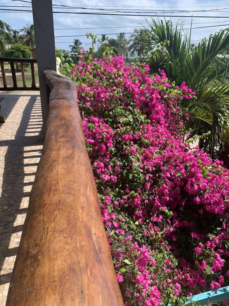 All Seasons Guest House image