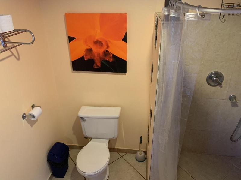 All Seasons Guest House image