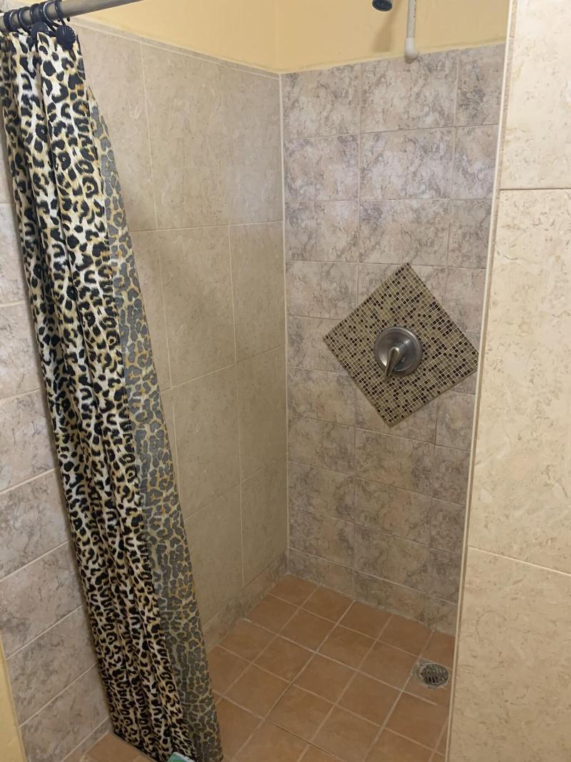 All Seasons Guest House image