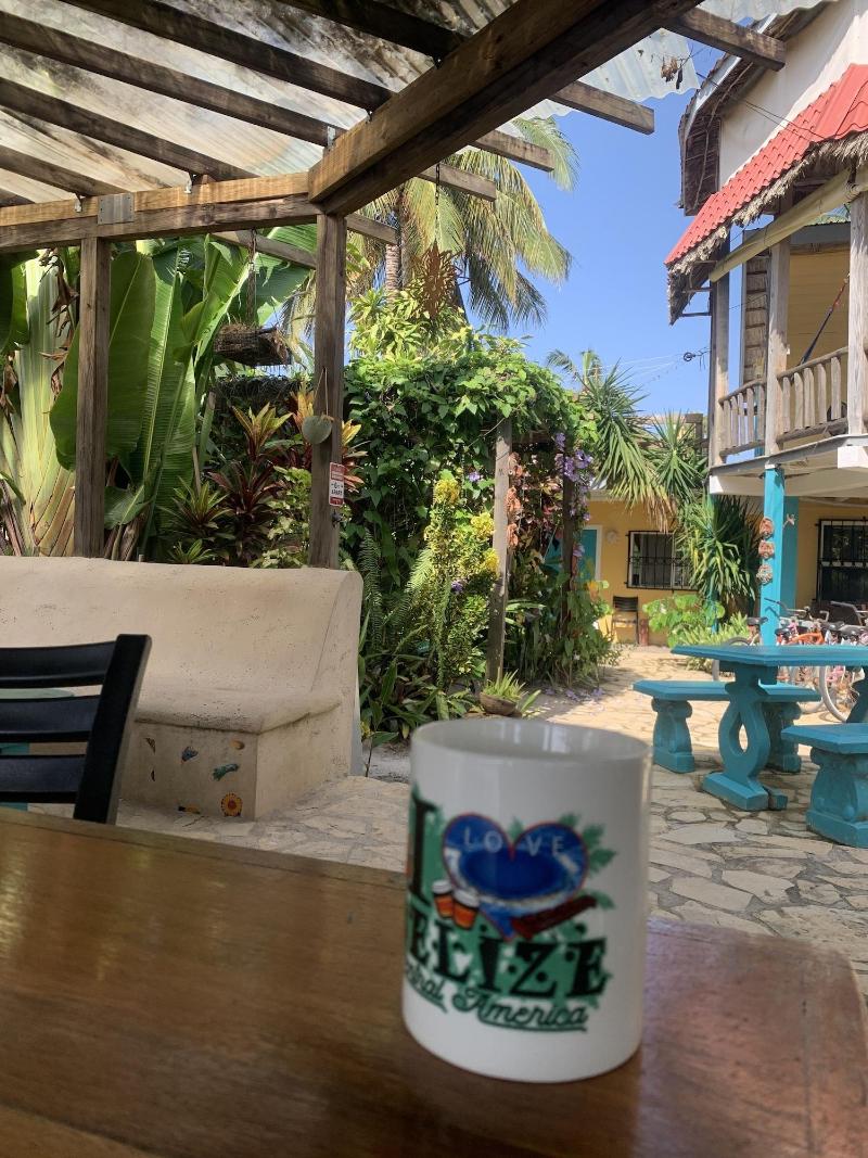 All Seasons Guest House image