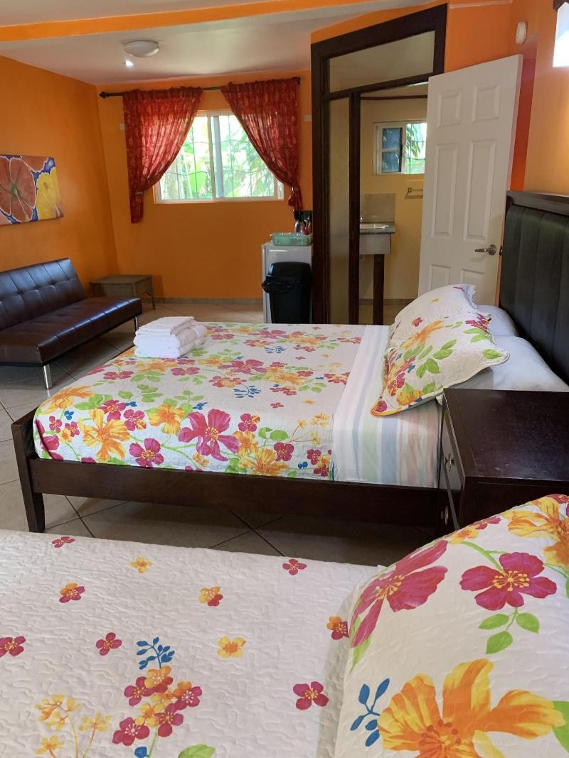 All Seasons Guest House image