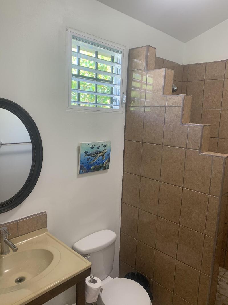 All Seasons Guest House image