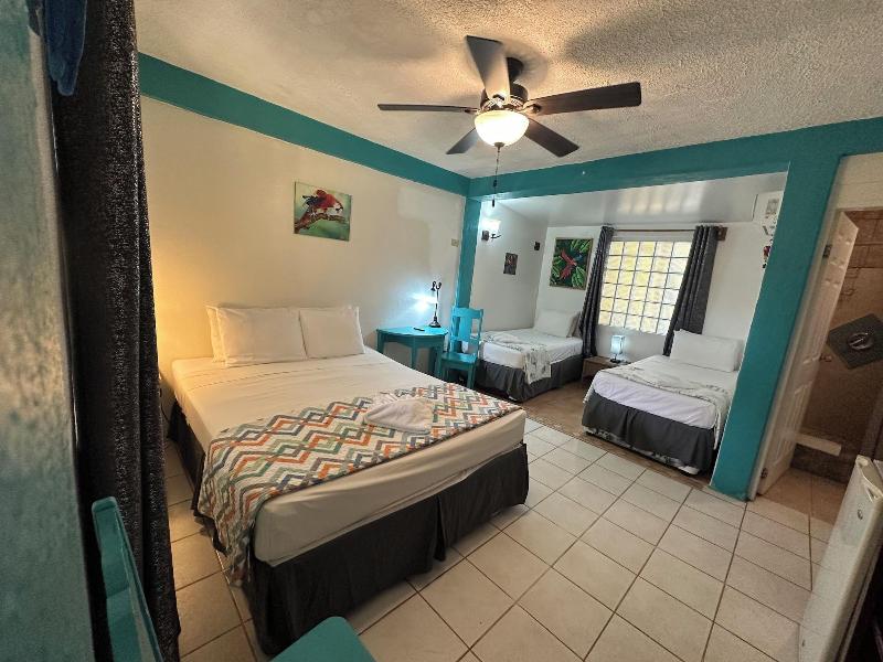 All Seasons Guest House image