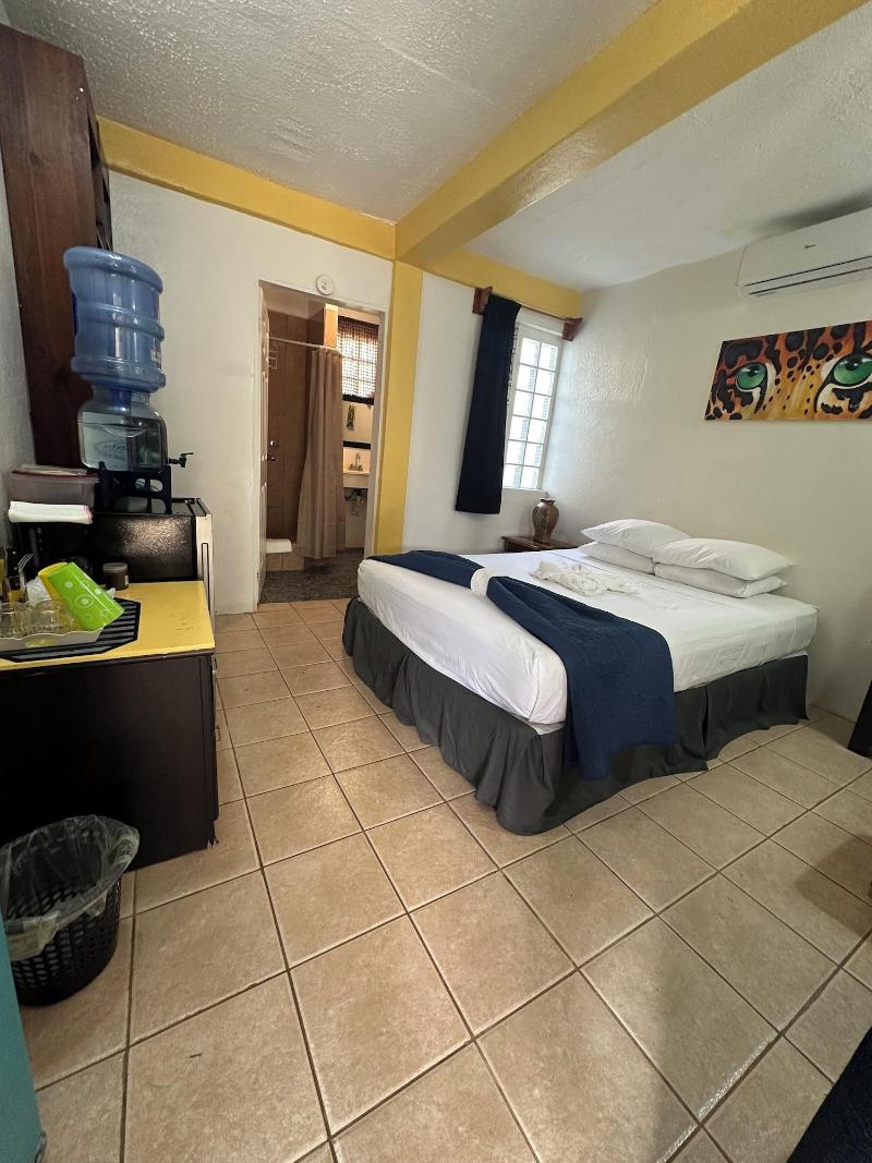 All Seasons Guest House image