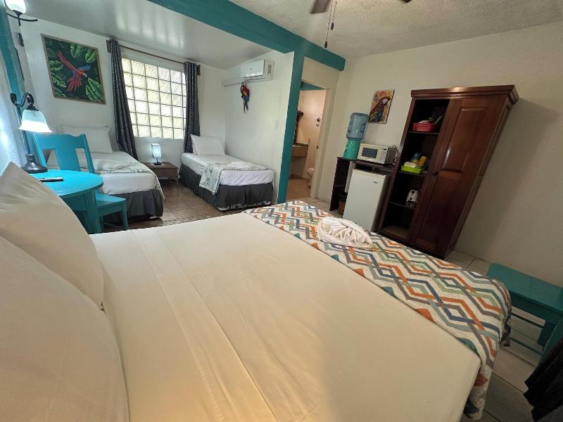 All Seasons Guest House image