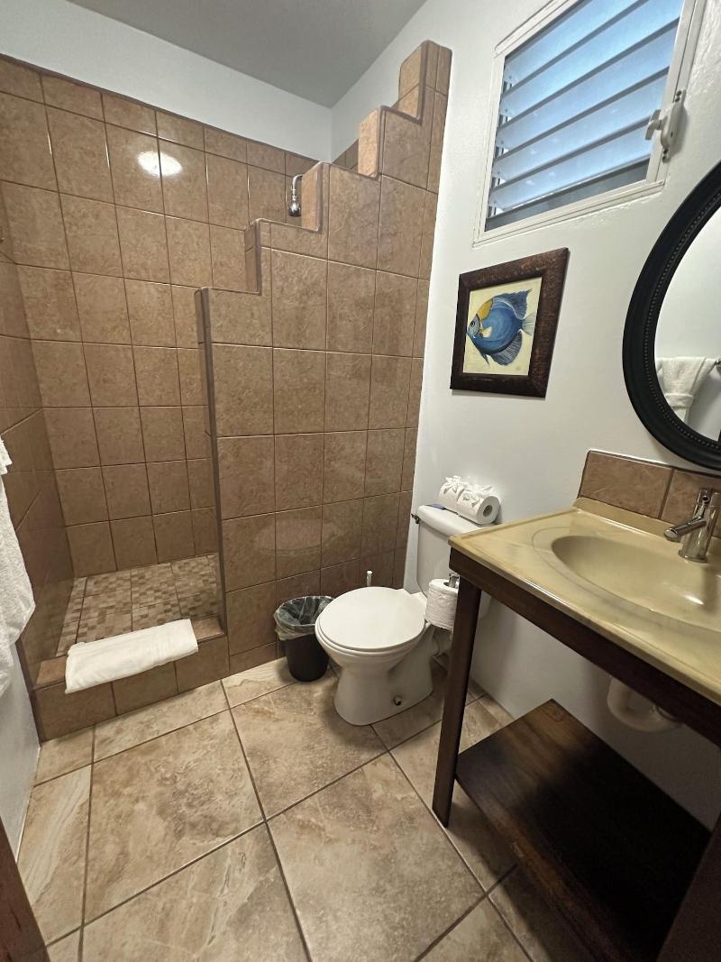All Seasons Guest House image