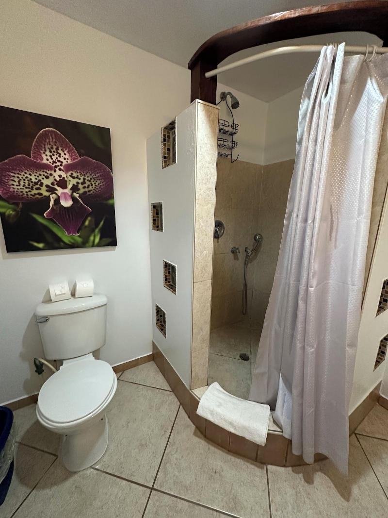 All Seasons Guest House image