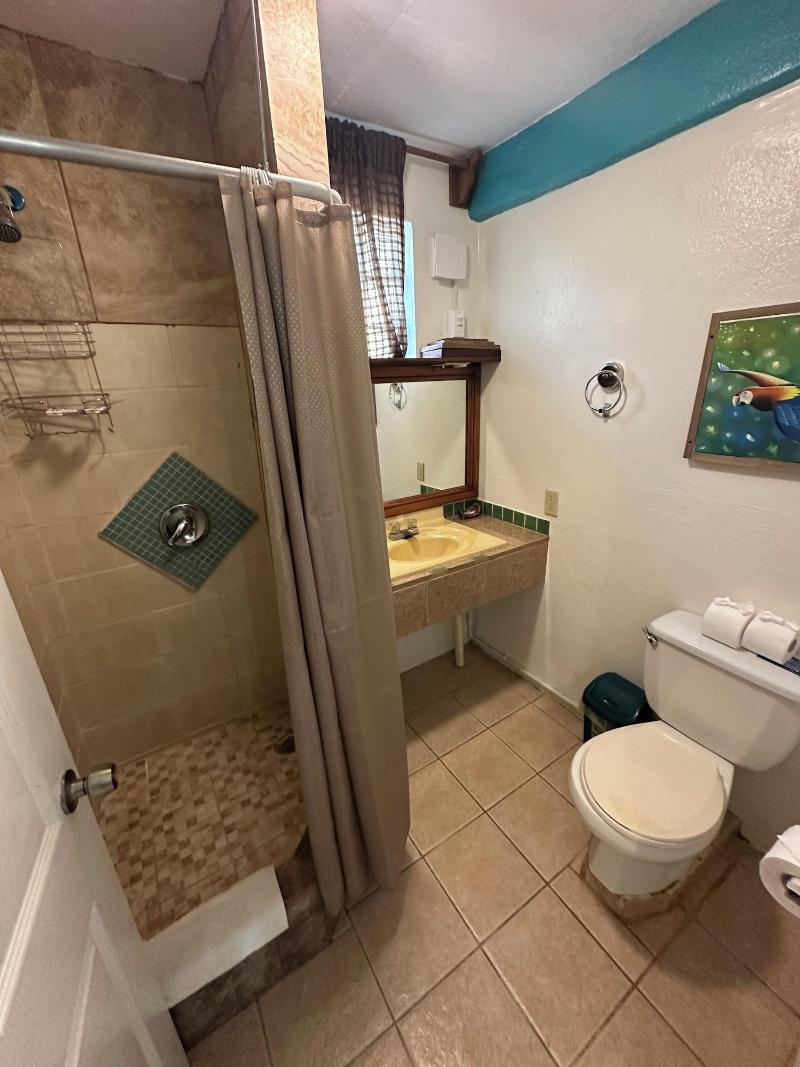 All Seasons Guest House image