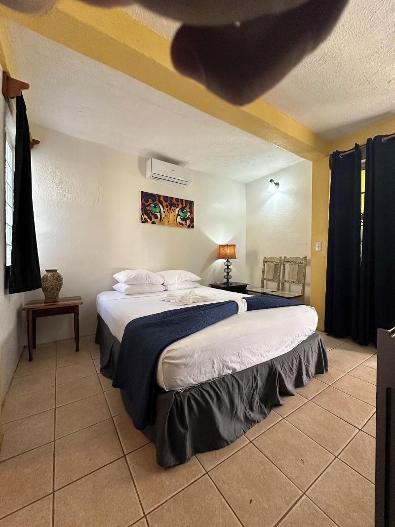 All Seasons Guest House image