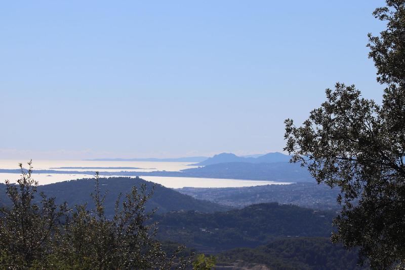 La Vela image