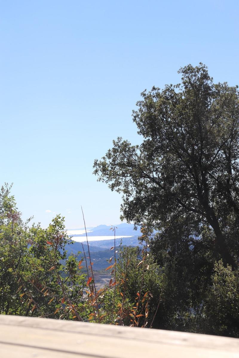 La Vela image