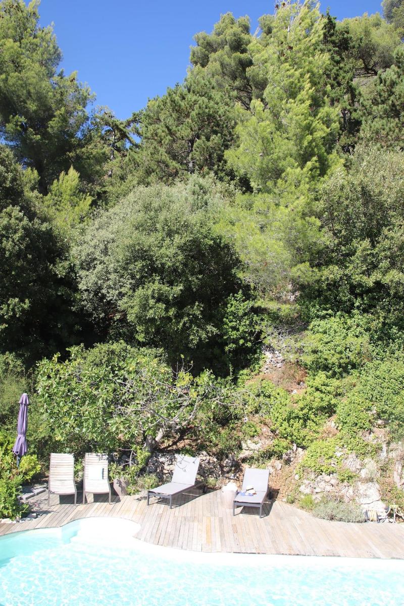 La Vela image