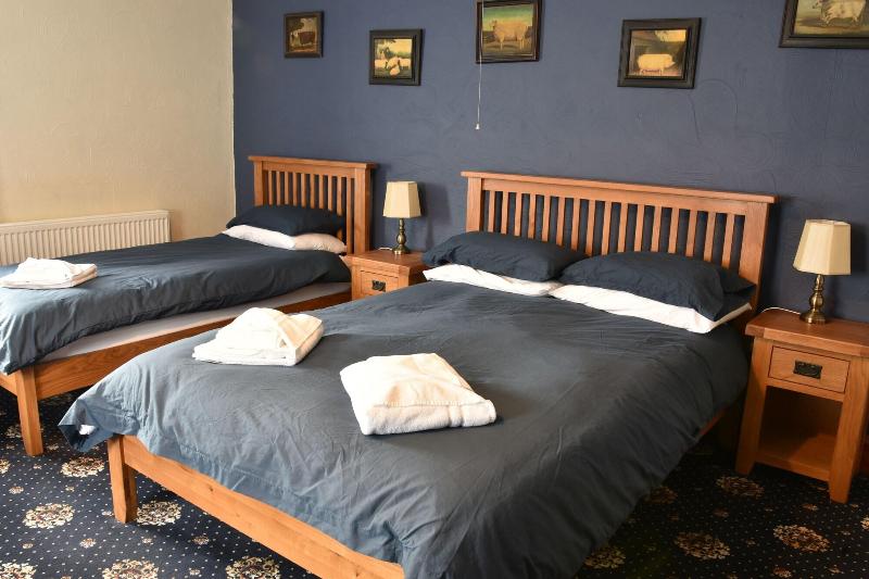Dinorben Arms Hotel image