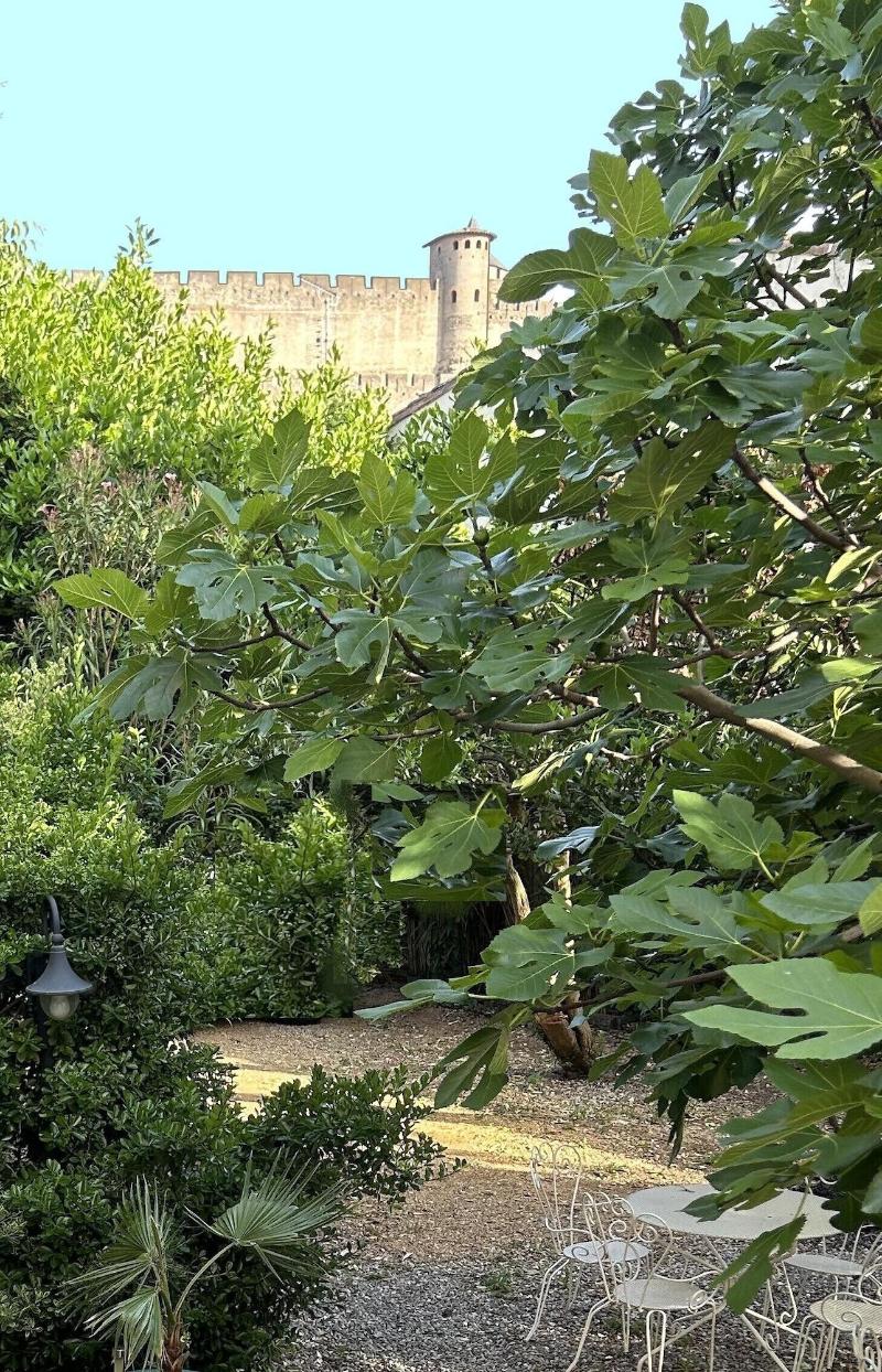 La Villa Carcassonne image