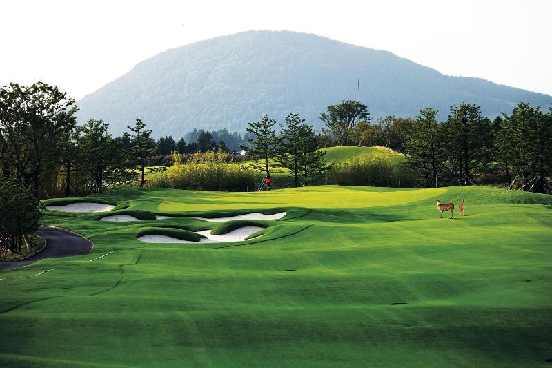 Arden Hill Resort Golf Club image