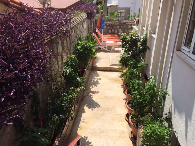 Villa Dream Apart Hotel image