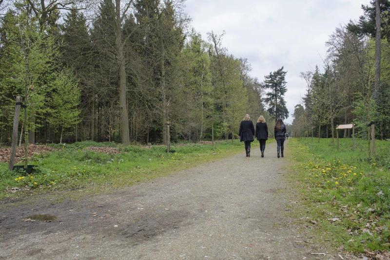 Landgoed De Horst image