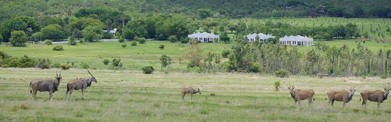 Leeuwenhof Country Lodge Garden Spa