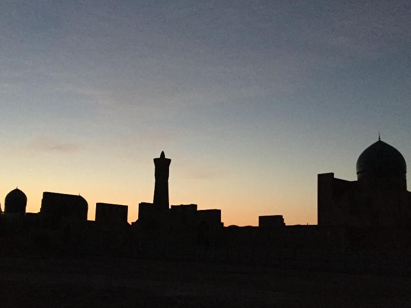 Hotel Old Bukhara — general view
