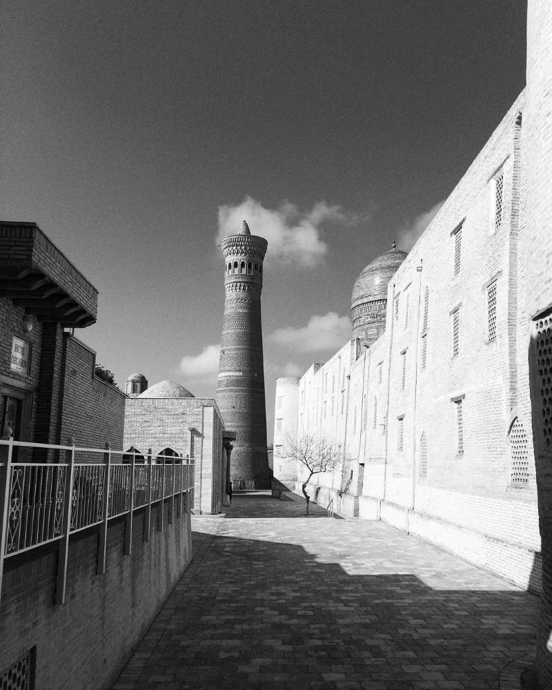 Hotel Old Bukhara — general view