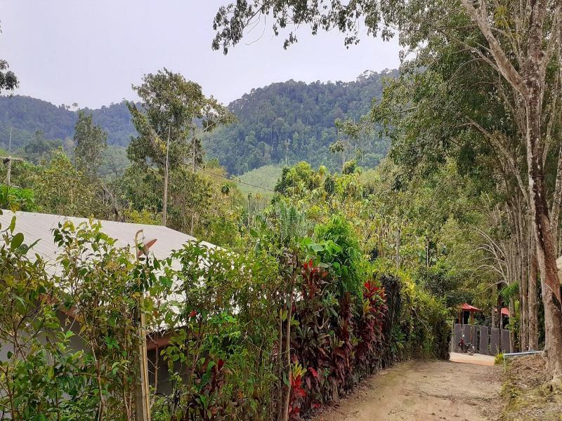 Lanta Maikeaw Bungalow
