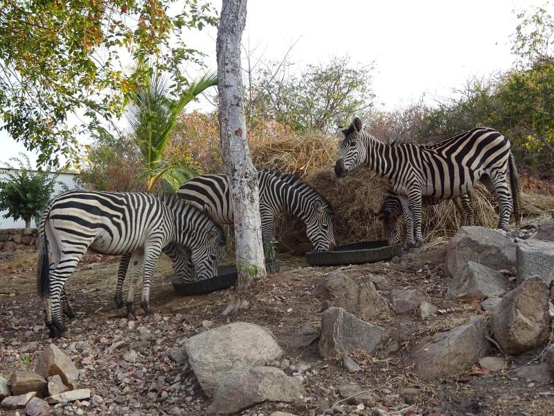 Lake Kariba Inns