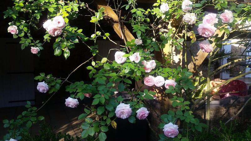 Le Clos D Any image