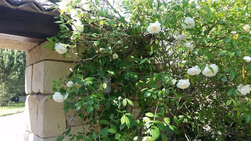 Le Clos D Any image