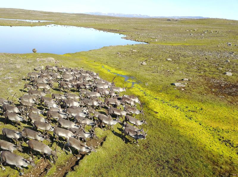 Lindarbrekka image
