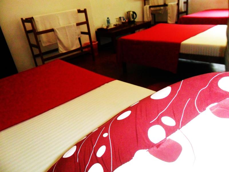 Mahaweli Regent Hotel image