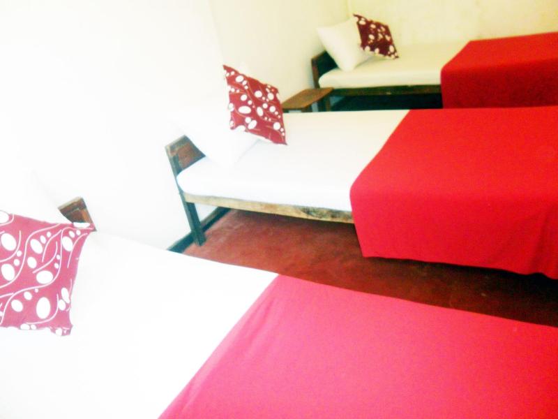 Mahaweli Regent Hotel image