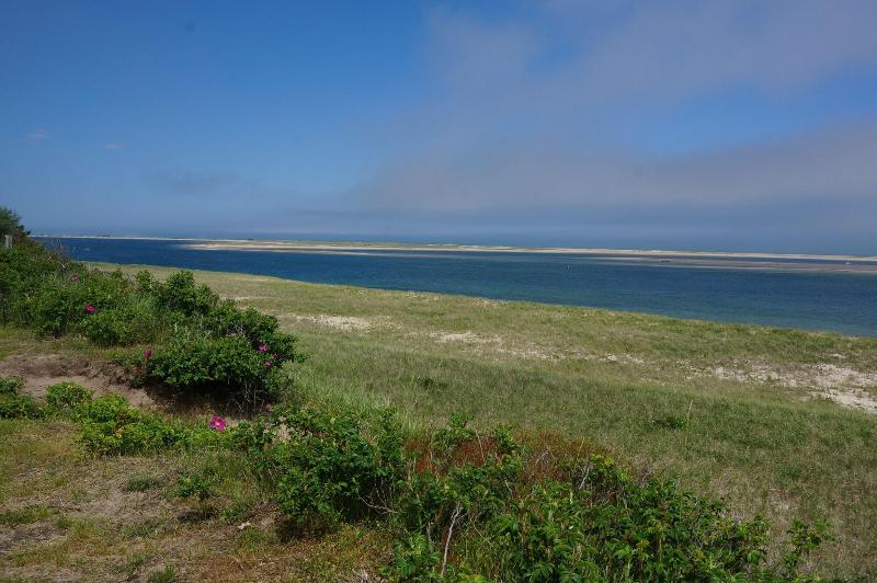 Chatham Tides image