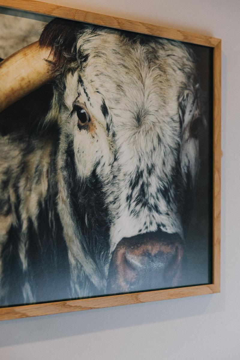 The Pointer image
