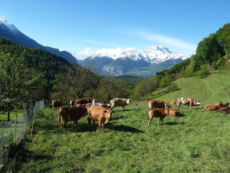 La Petite Grange image