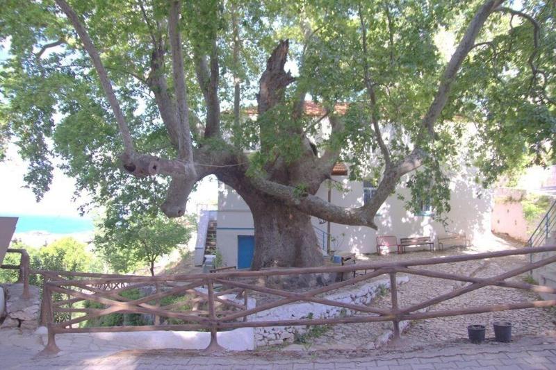 Uzum Iskelesi Butik Otel