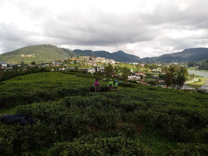 Eco Creations Nuwaraeliya