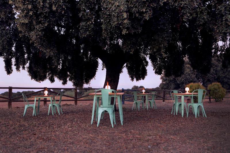 Miluna image 4