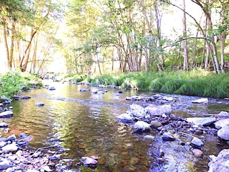 Mandala Springs Wellness Retreat Center — general view