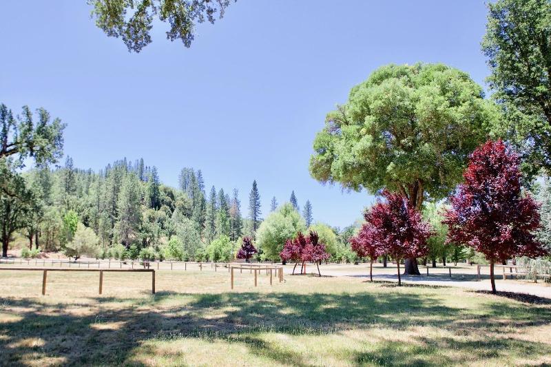 Mandala Springs Wellness Retreat Center image