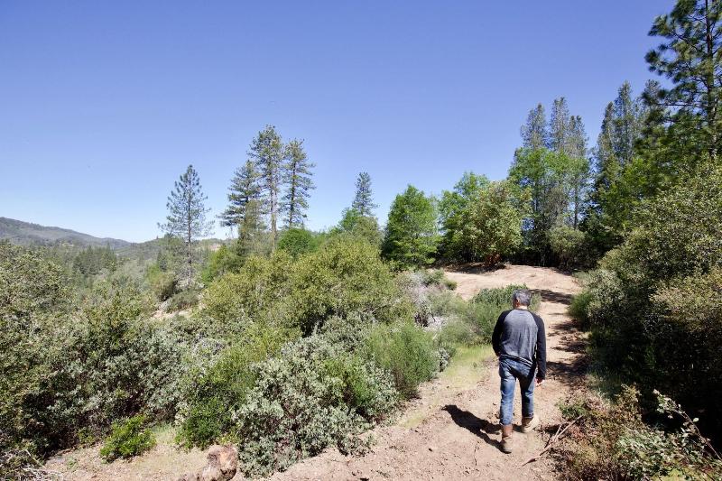 Mandala Springs Wellness Retreat Center image