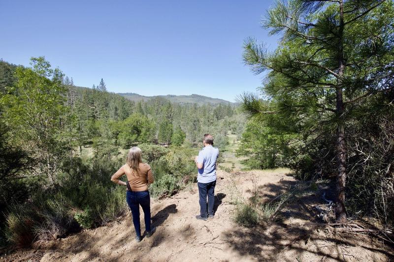 Mandala Springs Wellness Retreat Center image