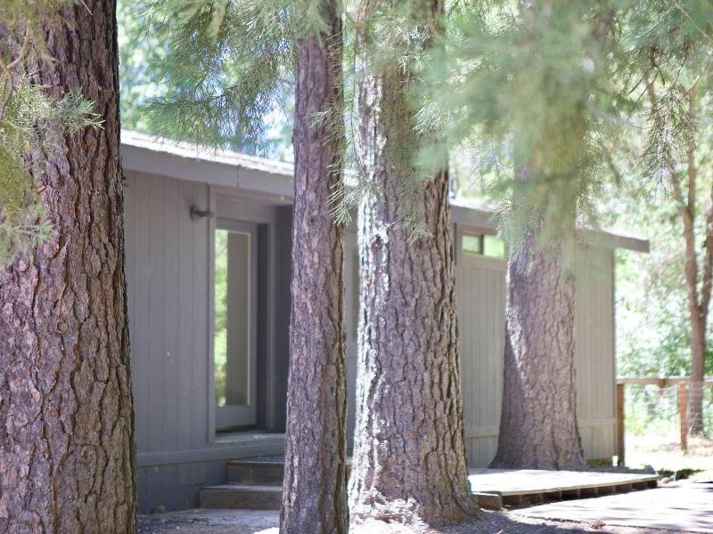 Mandala Springs Wellness Retreat Center image