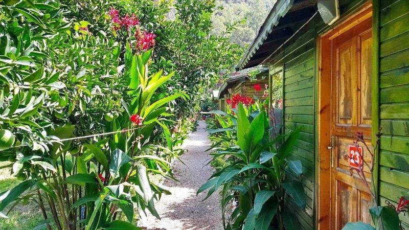 Olympos Tatilya Pansiyon