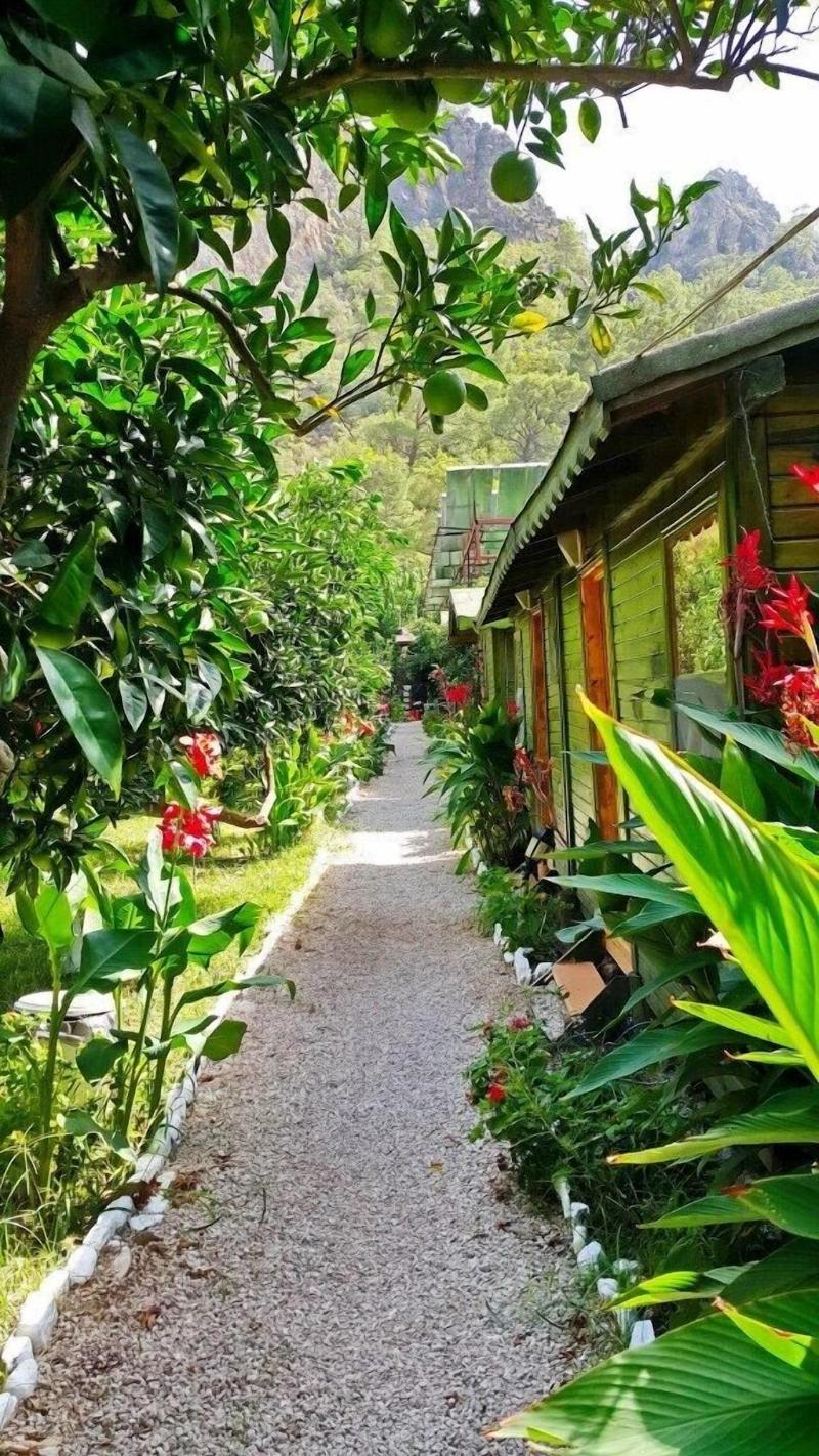 Olympos Tatilya Pansiyon
