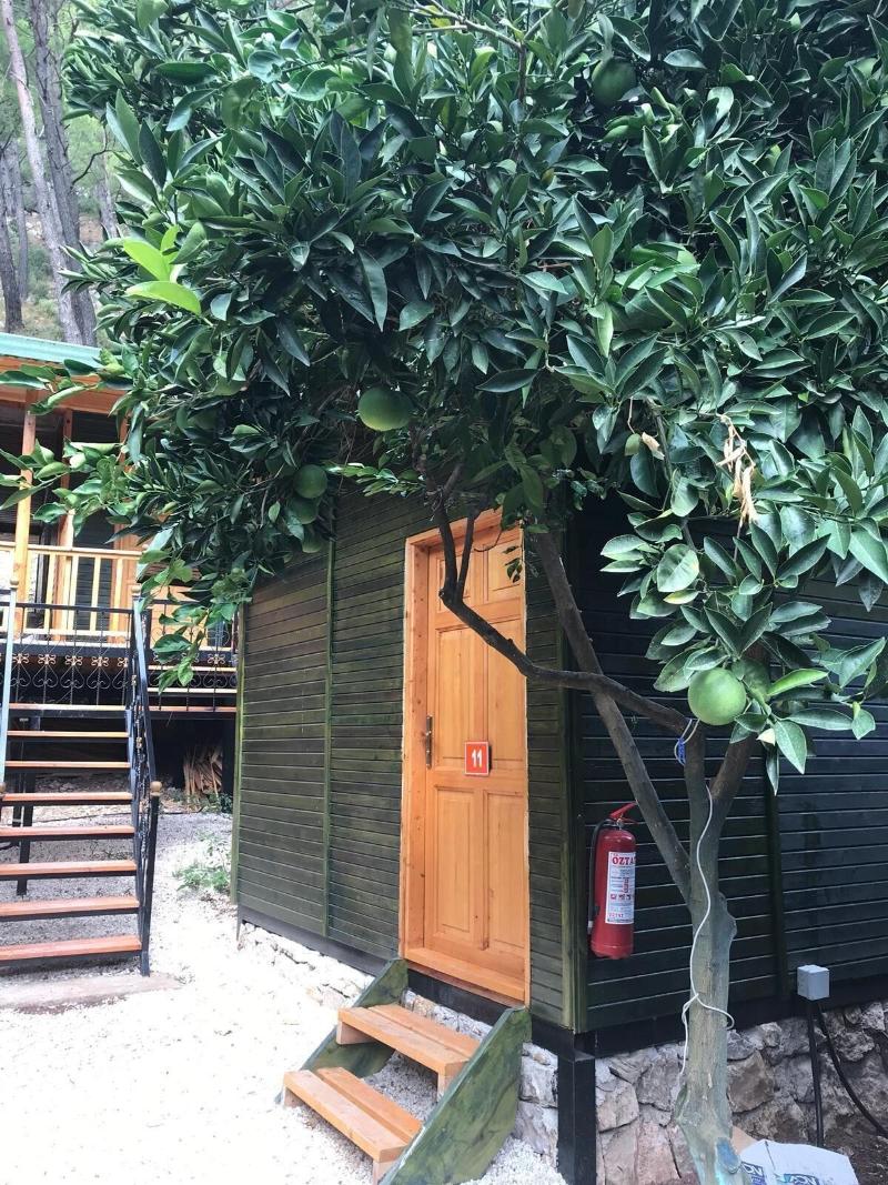 Olympos Tatilya Pansiyon