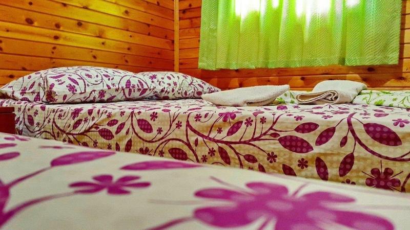 Olympos Tatilya Pansiyon — photo 8