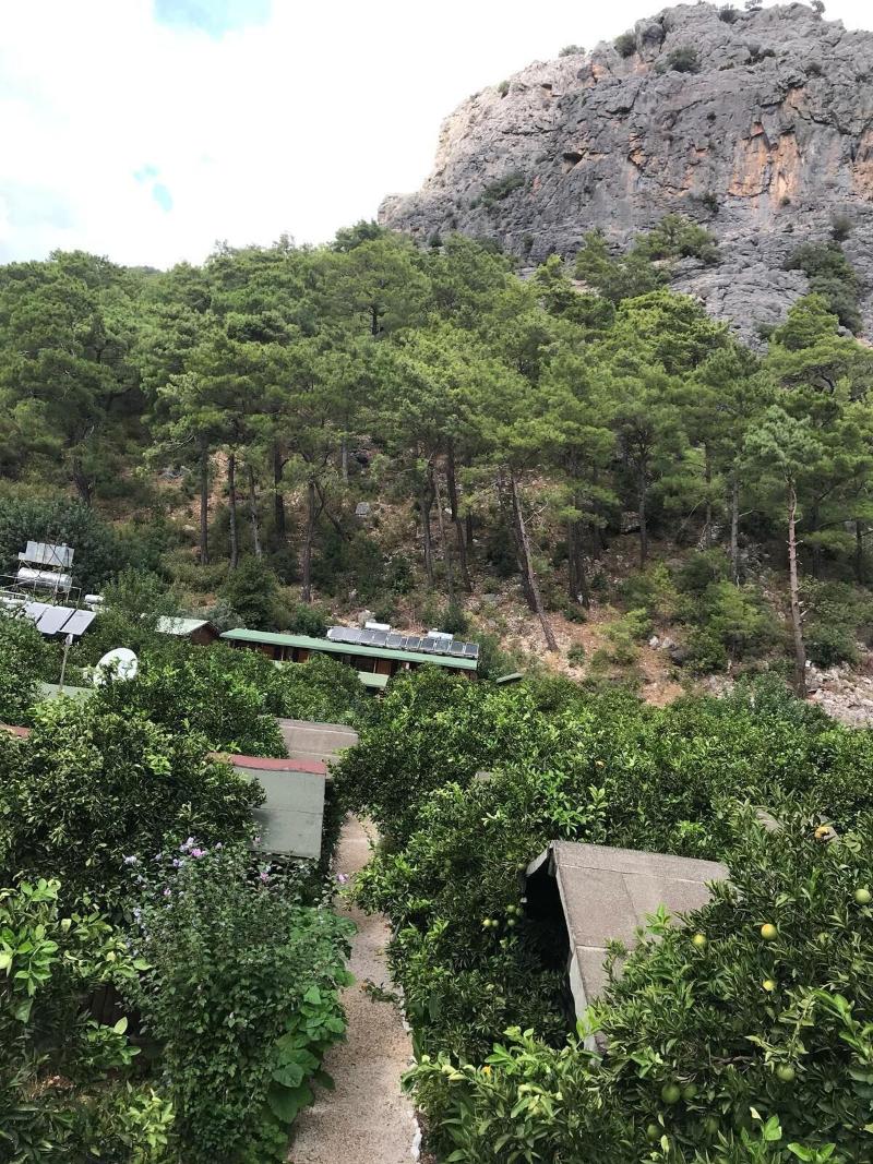 Olympos Tatilya Pansiyon — photo 24