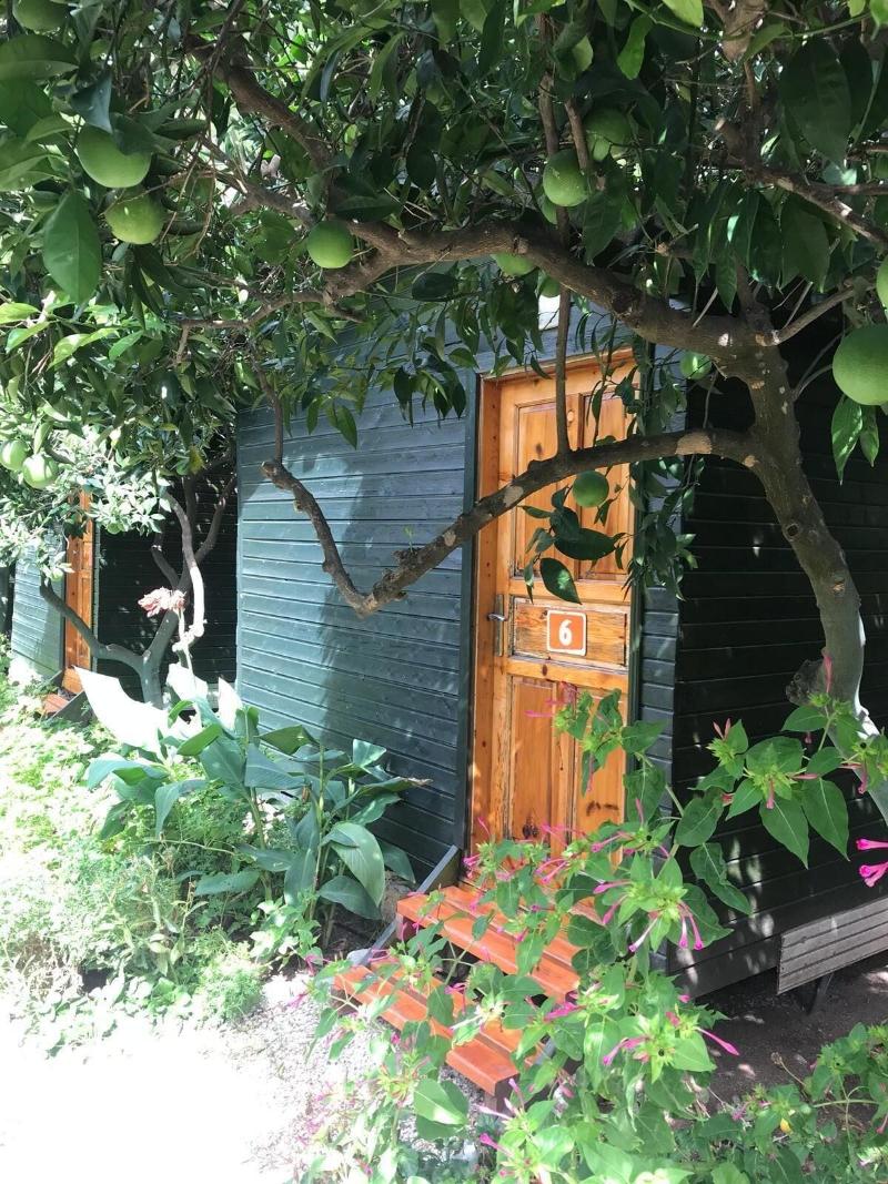 Olympos Tatilya Pansiyon — photo 41